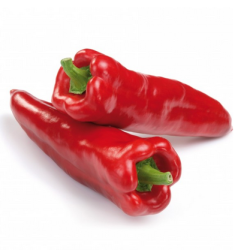 Papryka Kaptur F1 1 tyś. nasion st